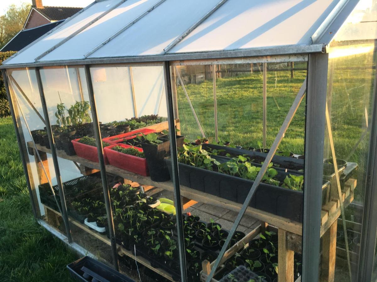 Gerkesklooster Onder De Boom B&B 외부 사진